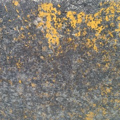 Stranger Waves: Fractal remix of Strange Waves by Mike Bannister