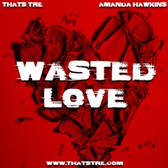 Wasted Love (Featuring Amanda Hawkins)