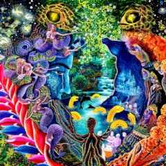 Universo