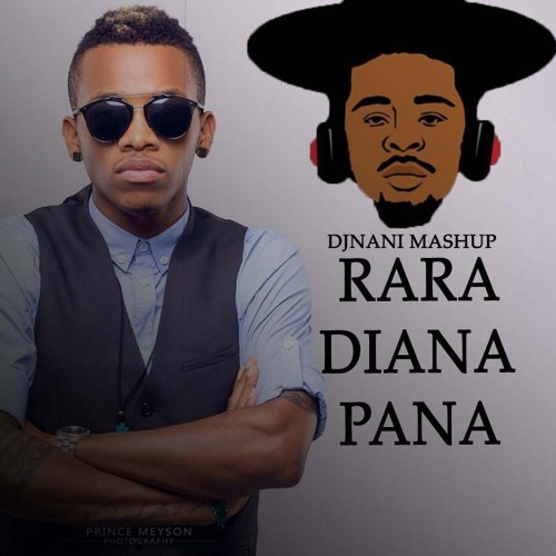 Stream TEKNO RARA DIANA PANA MASHUP (IG @OFFICIALDJNANI) by DjNanI | Listen  online for free on SoundCloud