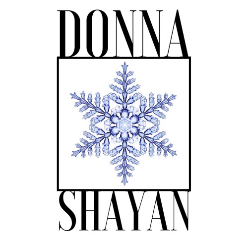Michael Buble & Idina Menzel - Baby It's Cold Outside (Duet by Donna Molavi and Shayan)