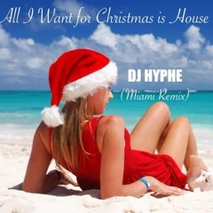 All I Want for Christmas is House (Miami Remix)