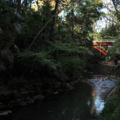 等々力公園90度