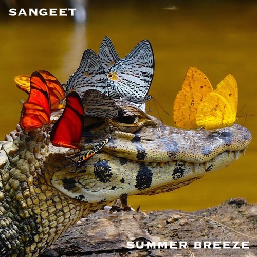 Sangeet - Basswalze (Original Mix)