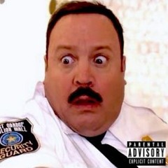 kevin james