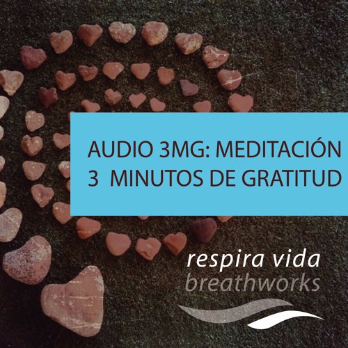 Minutos de Gratitud 3MG
