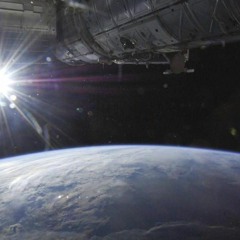 PPrisma into birds war