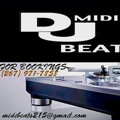 DJ MIDI BEATZ GET DOWN AT THE PARTY