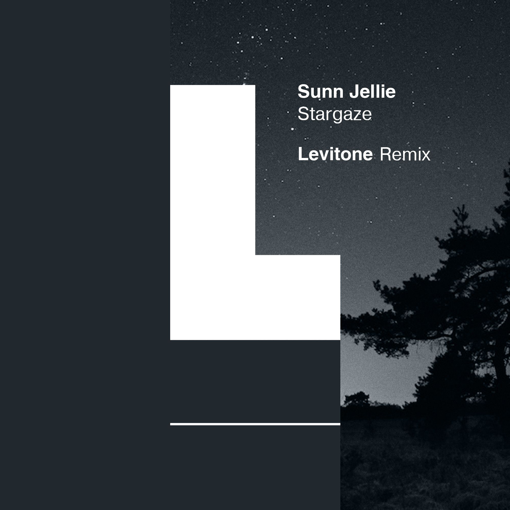 Sunn Jellie – Stargaze (Levitone Remix) [Intricate Records]