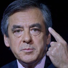 François Fillon a la politique de ses sourcils