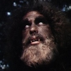 Sasquatch Wilderness