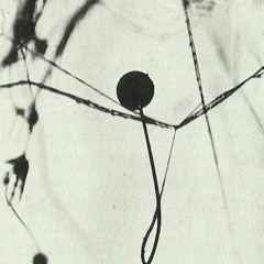 the undiscovered country (part I)