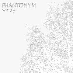 Phantonym - Wintry