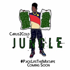 Jungle - @Carus2Cold