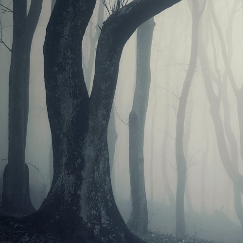 Ambient Masterworks