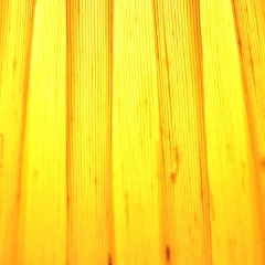 Oh, Father [Madonna]