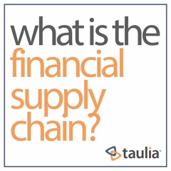 Episode 4: Why are companies changing to understand the financial supply chain?