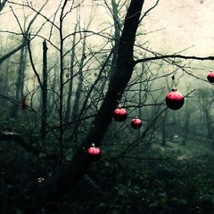 Merry Christmas 2016