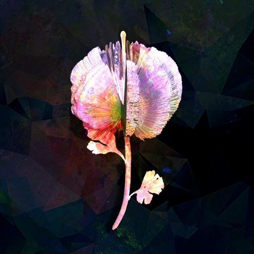 Iridescence