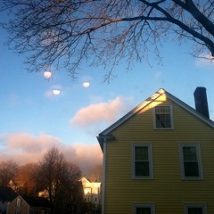 Tea And Some Oranges