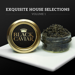 Exquisite House Selections - Volume 1 (60 MIN MIX)