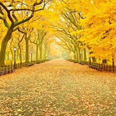 Fall '16