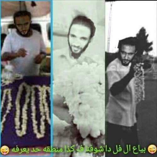 (Byaa3 El Foll)_Mahmoud_Fared