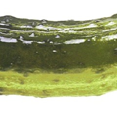 Days Are Dreaming (WYLN) Bass Boosted <3