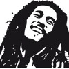 Hip Hop Reggae(VENDIDA)