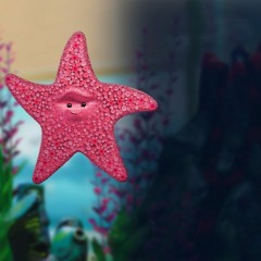 Star Of Wonder (Cover)