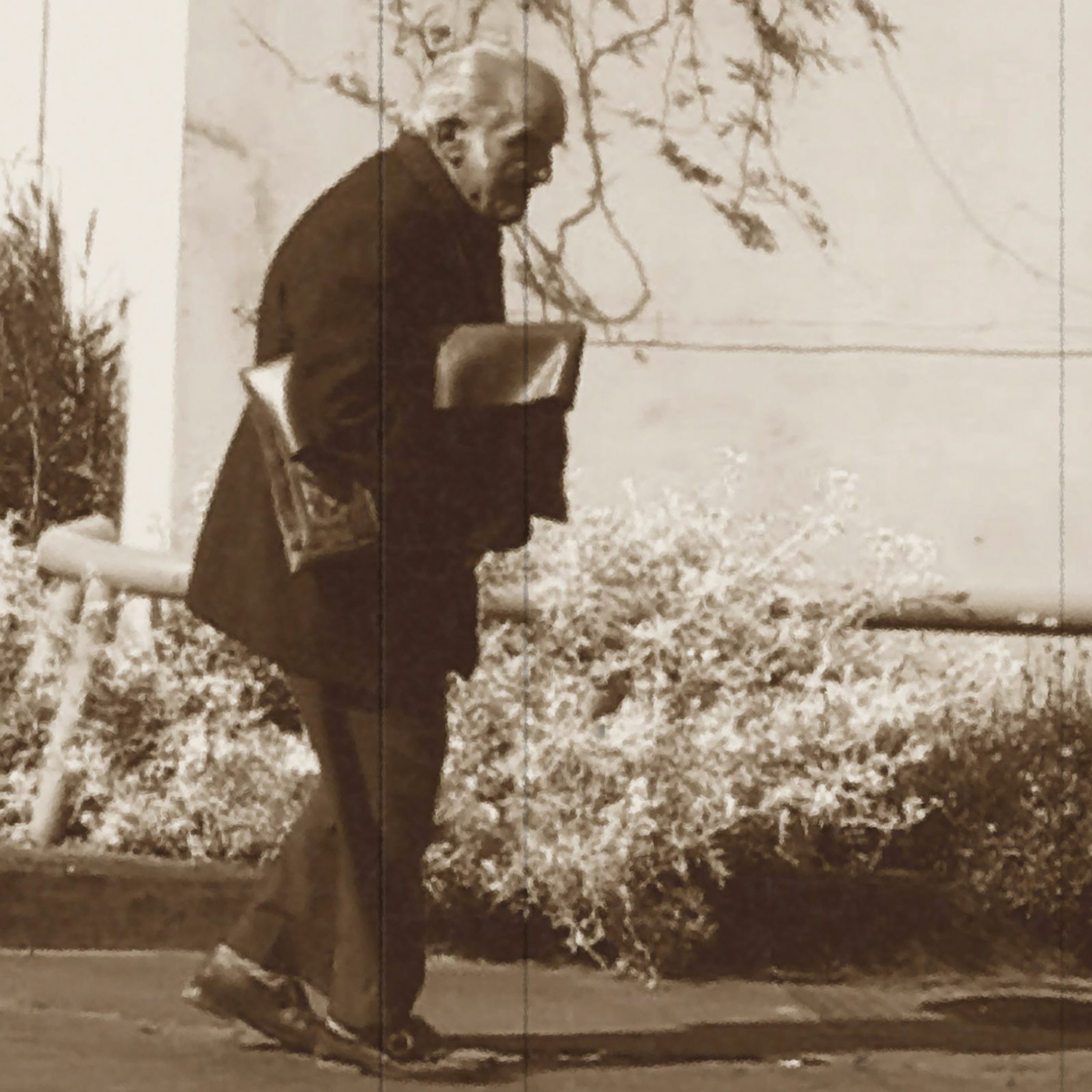 YIO (Sergio Schnitzler)