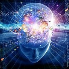 Explore Your Consciousness