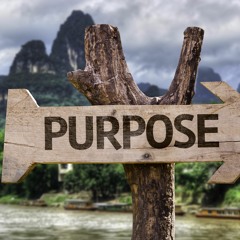 How To Discover Your Life Purpose (By: Steve Pavlina)