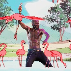 Lord Of The Flamingo [Death Grips X Flamingosis]