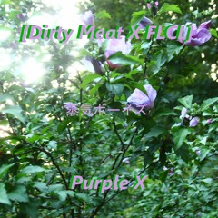 Purple X (Prod. HVFF)