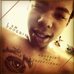 I Am Phoenix - PhoenixTheExceptional