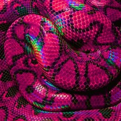 Ophiuchus, The Serpent Charmer & The 13 Rays