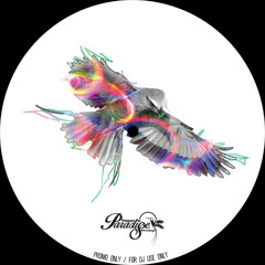 Albion - Passport To Paradise PTP 003 B1. Supermagic Woman