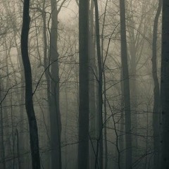 Peteris Vasks: String Quartet No.3 - Movement 1
