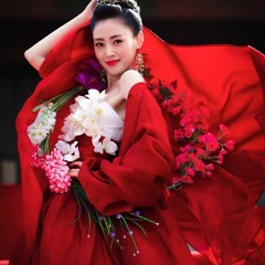 Khải niệm bất khả thuyết- ost Thái tử phi thăng chức kí