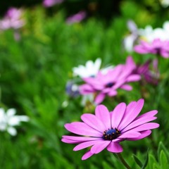 Jason Farnham - Get Outside!