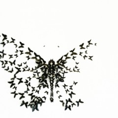 Recitative (with interruptions) - Soliloquy (2013/16) for solo viola