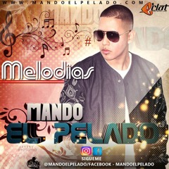 Melodia By Mando El Pelado