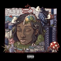Little Simz - Picture Perfect