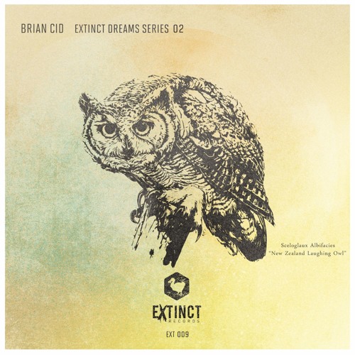 PREMIERE: Brian Cid - Voices From Within (Original Mix)[EXTINCT]