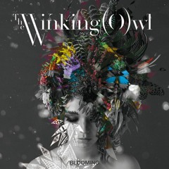 The Winking Owl - Silver Linings