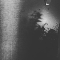 sameoldvoid - dead flowers