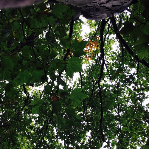 Stream Florian Behncke Listen to Mit der Natur leben OST playlist