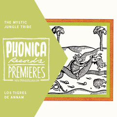 Phonica Premiere: The Mystic Jungle Tribe - 'Los Tigres De Annam’ [GOING GOOD]
