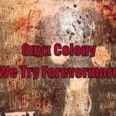 Onyx Colony - We Try Forevermore